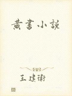 黄书小说
