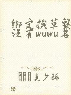 绑定挨草系统后没有wuwu名字
