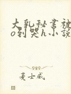 大乳秘书被cao到哭h小说封面