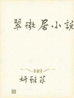 翠微居小说