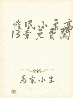 催眠小柔高达第13章免费阅读