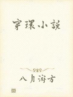 穿环小说封面