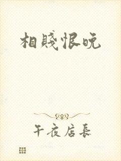 相贱恨晚封面