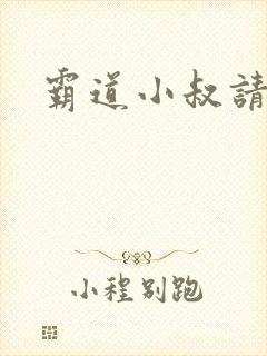 霸道小叔请轻撩封面