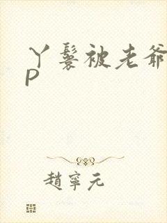 丫鬟被老爷玩NP封面