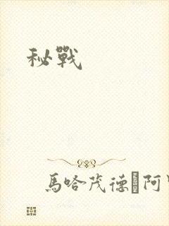 秘战