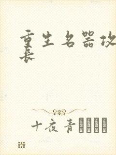 重生名器攻略兄长