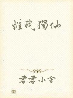 惟我独仙封面