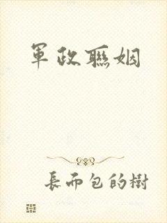 军政联姻