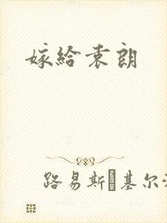 嫁给袁朗封面