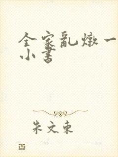 全家乱炖一锅烩小书