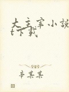 大主宰小说txt下载