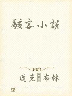 骇客小说