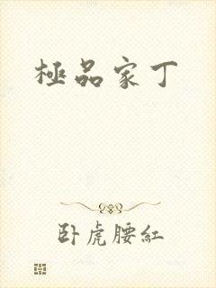 极品家丁
