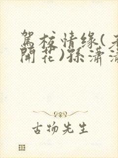 驾校情缘(老树开花)孙潇潇第一次趣笔阁封面