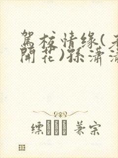 驾校情缘(老树开花)孙潇潇第一次趣笔阁