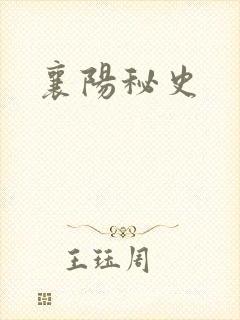 襄阳秘史