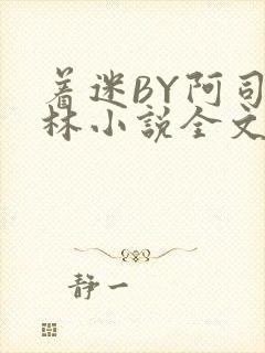 着迷BY阿司匹林小说全文免费阅读