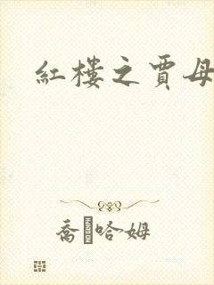 红楼之贾母