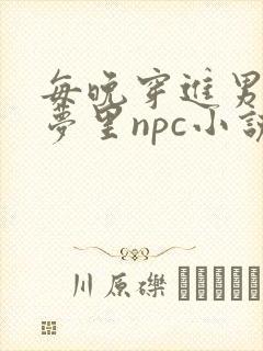 每晚穿进男神的梦里npc小说