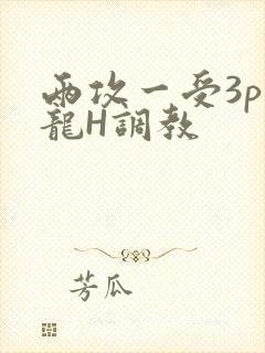 两攻一受3p双龙H调教