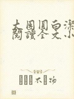 大团圆白洁免费阅读全文小说封面
