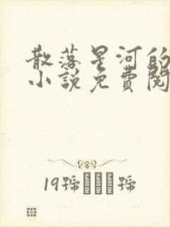 散落星河的记忆小说免费阅读全文封面