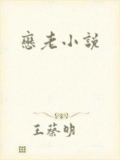 恋老小说