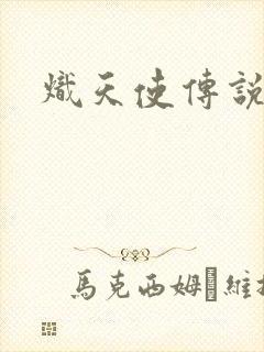 炽天使传说封面