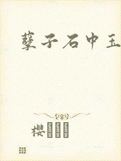 孽子石中玉