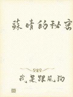 苏晴的秘密小说封面