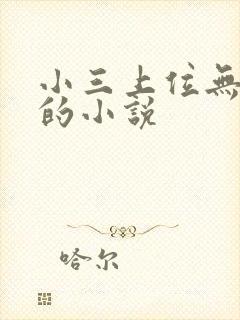 小三上位无三观的小说