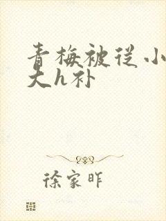 青梅被从小摸到大h补
