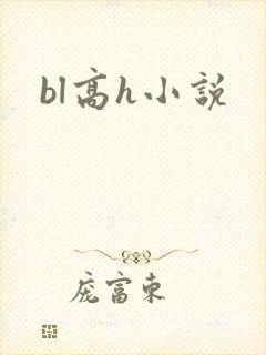 bl高h小说