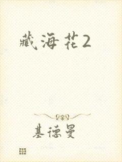 藏海花2