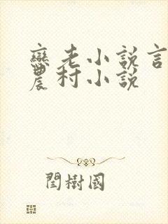 恋老小说言情网农村小说