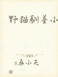 野猫驯养小说