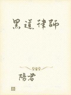 黑道律师封面