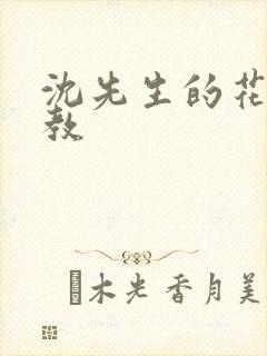 沈先生的花式调教