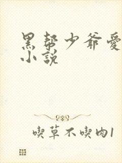 黑帮少爷爱上我小说