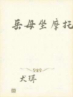 岳母坐摩托