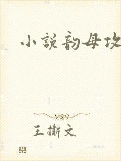 小说韵母攻略