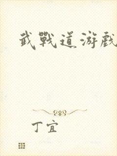 武战道游戏