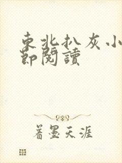 东北扒灰小说分节阅读封面