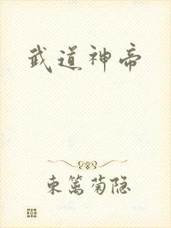 武道神帝