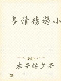 多情杨过小说