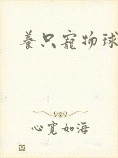 养只宠物球