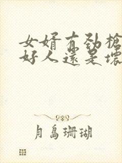 女婿有劲枪枪是好人还是坏人
