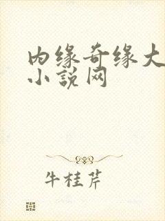 内缘奇缘大团圆小说网