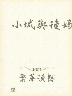 小城与后妈封面